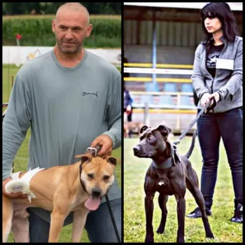 Drago & Curtis pit bulls