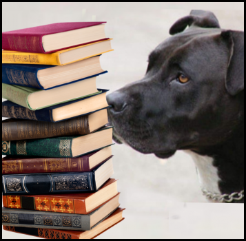 Dog & old books