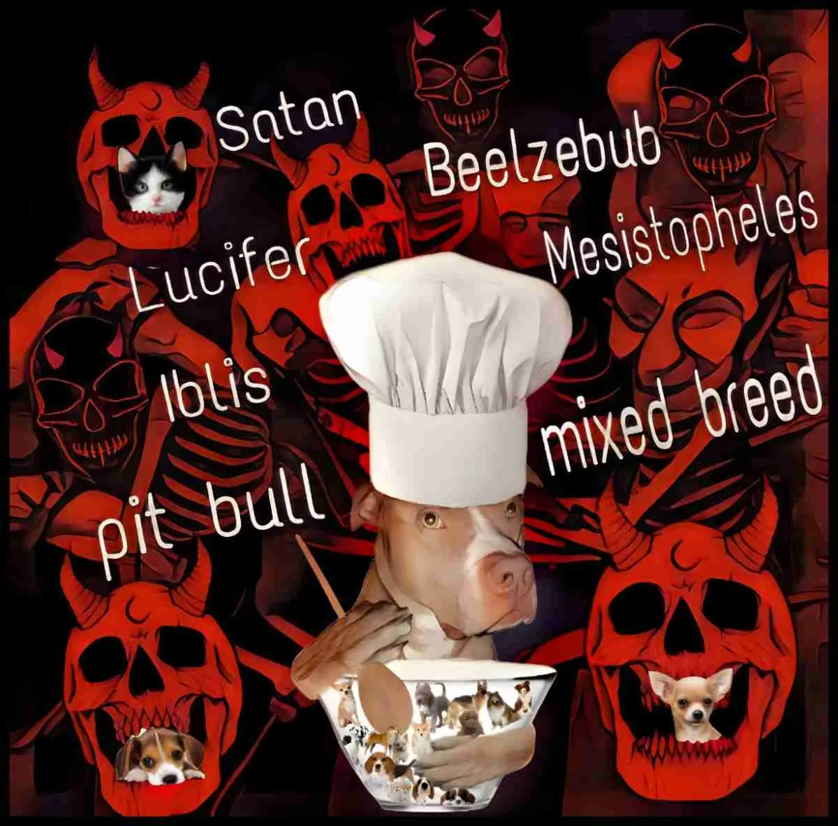 Pit bull chef with devils and skulls.
