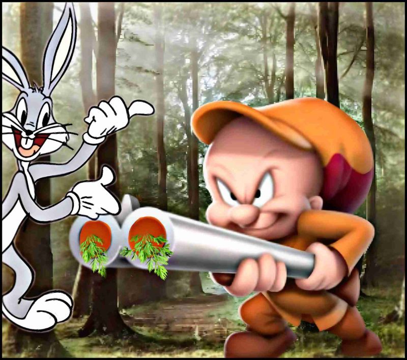 Elmer Fudd bad hunter and Bugs Bunny.