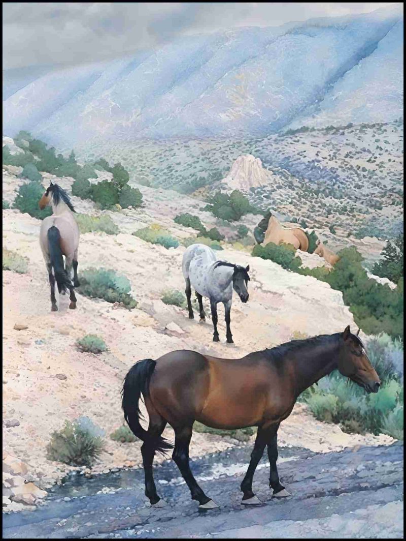Pryor Mountain wild horses.