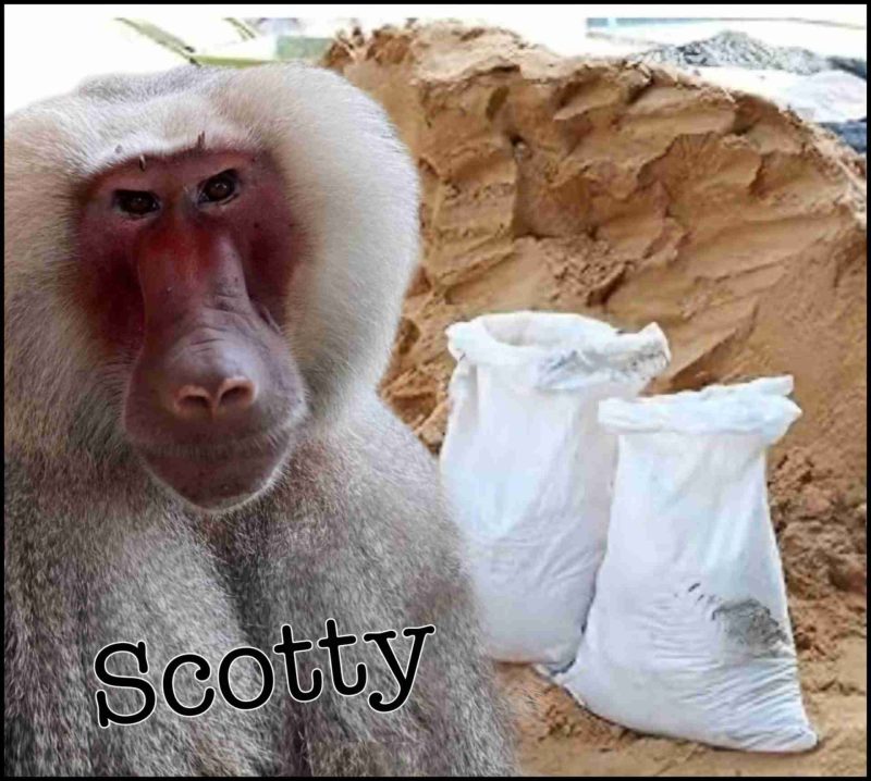 Suncoast Primate Center.