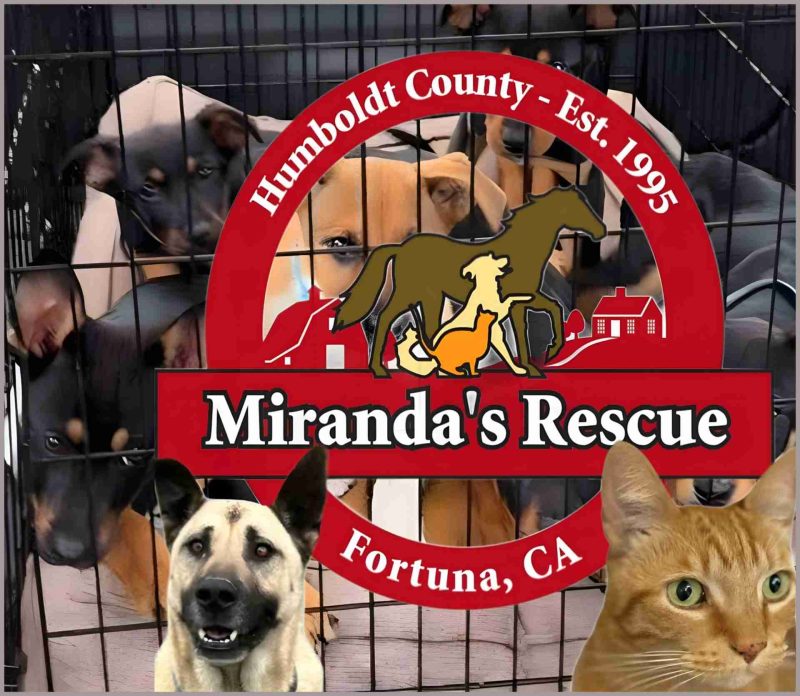 Miranda's Rescue.