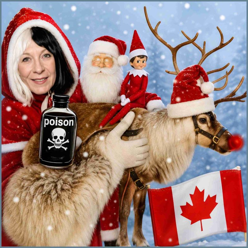 wolf santa