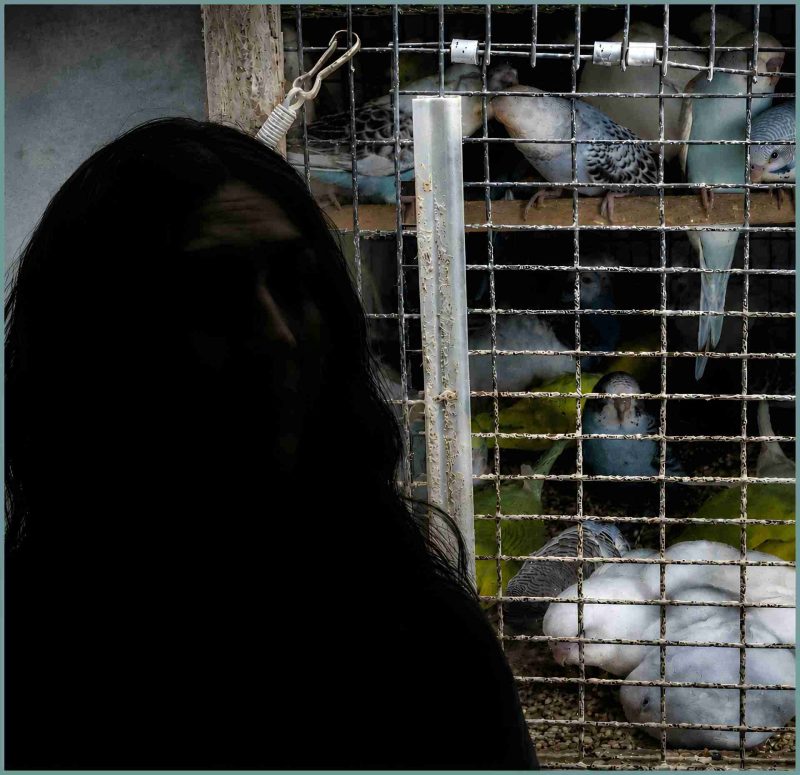 Peta photos/ Beth Clifton collage.