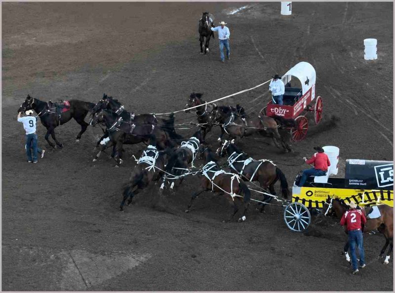 Calgarychuckwagon race.