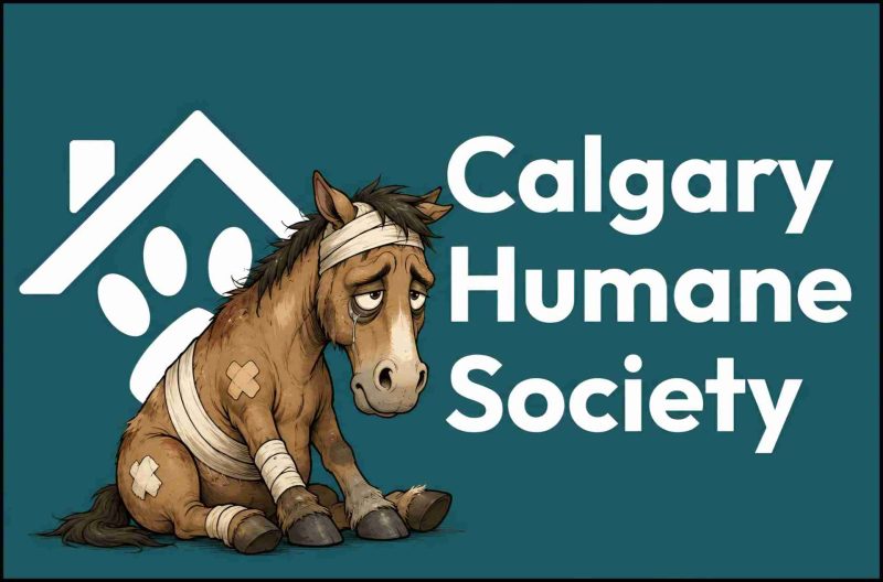 Calgary Humane Society.